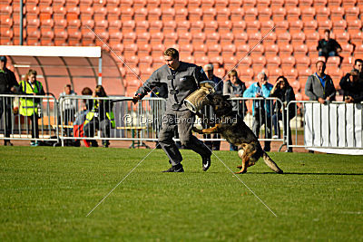 Chicco vom Weinbergblick