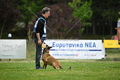 Chicka Force Canina