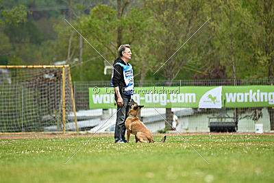 Chicka Force Canina
