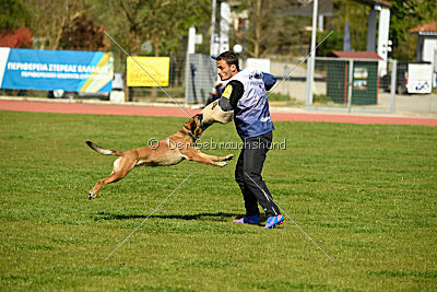 Chicka Force Canina