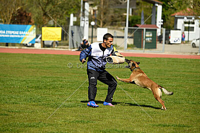 Chicka Force Canina