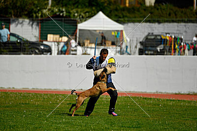 Chicka Force Canina