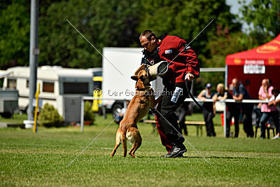 Chilly vom Clan der Wölfe