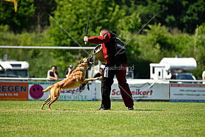 Chilly vom Clan der Wölfe