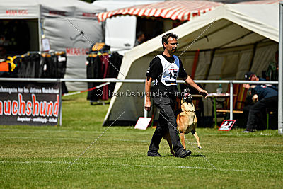 Chilly vom Clan der Wölfe