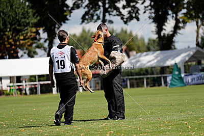 Chilly vom Clan der Wölfe