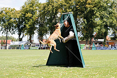 Chilly vom Clan der Wölfe