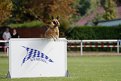 Chilly vom Clan der Wölfe