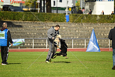 Chira von den Koschis