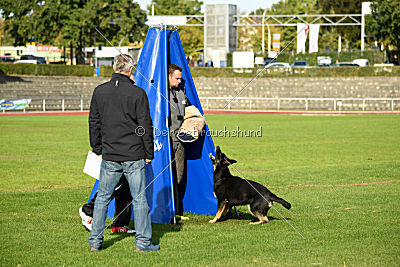 Chira von den Koschis