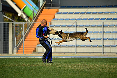 Christina of S. Wistaria