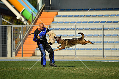 Christina of S. Wistaria