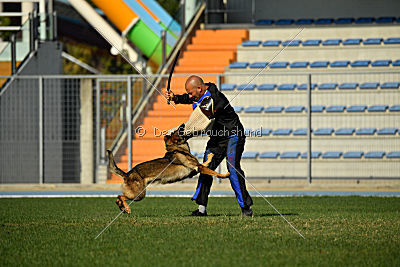 Christina of S. Wistaria