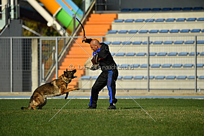 Christina of S. Wistaria