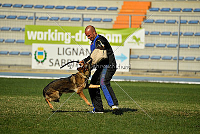 Christina of S. Wistaria