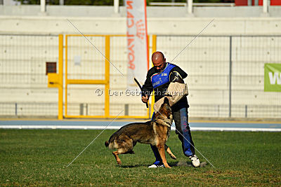 Christina of S. Wistaria
