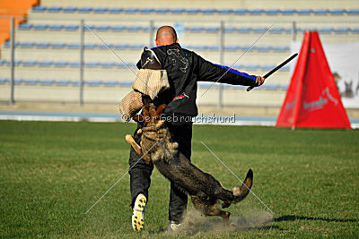 Christina of S. Wistaria