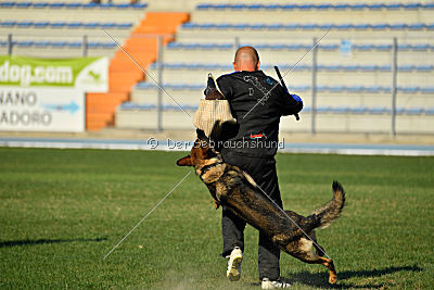 Christina of S. Wistaria