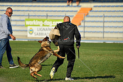 Christina of S. Wistaria