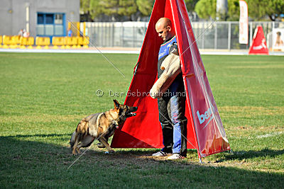 Christina of S. Wistaria