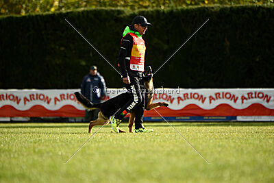 Chuck vom schwarzen Omen