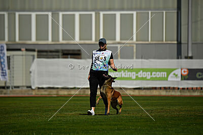 Civan Av Schwarz Engeln