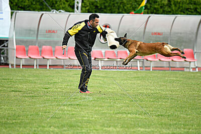 Civan Av Schwarz Engeln