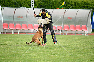 Civan Av Schwarz Engeln