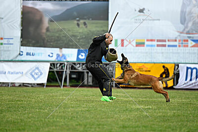 Civan Av Schwarz Engeln