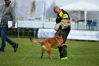 Civan Av Schwarz Engeln