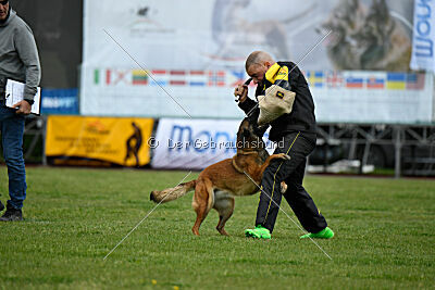 Civan Av Schwarz Engeln