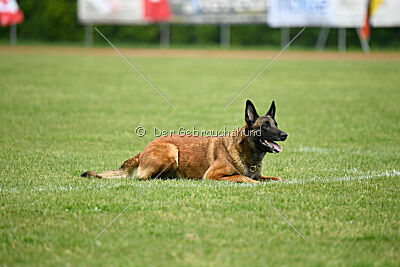 Civan Av Schwarz Engeln