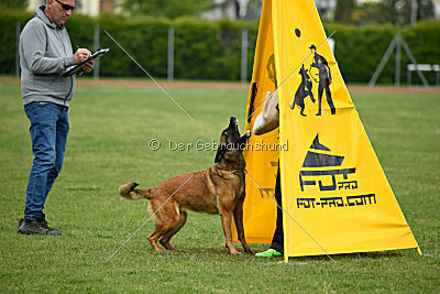 Civan Av Schwarz Engeln