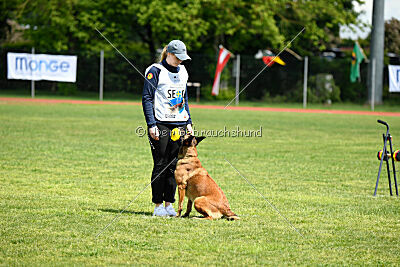 Civan Av Schwarz Engeln