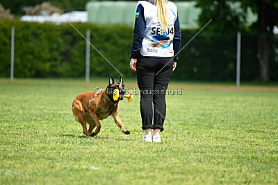 Civan Av Schwarz Engeln