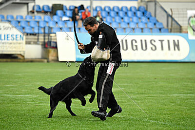 Cliff vom Hause Ripp