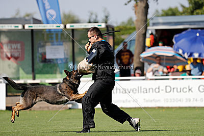Cliff vom Neuzeller Brunnen