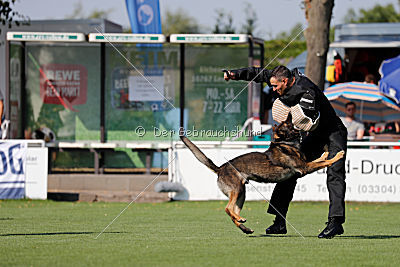 Cliff vom Neuzeller Brunnen