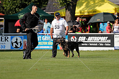 Cliff vom Neuzeller Brunnen