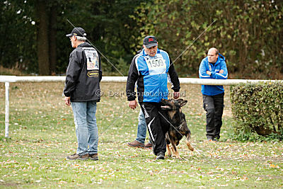 Cliff vom Neuzeller Brunnen