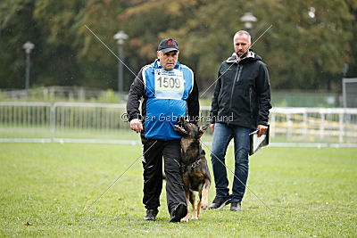 Cliff vom Neuzeller Brunnen