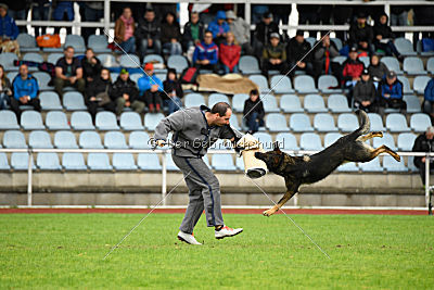 Cliff vom Neuzeller Brunnen