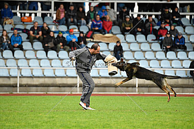 Cliff vom Neuzeller Brunnen