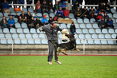 Cliff vom Neuzeller Brunnen