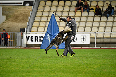 Cliff vom Neuzeller Brunnen