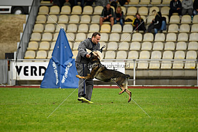 Cliff vom Neuzeller Brunnen