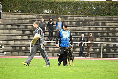 Cliff vom Neuzeller Brunnen