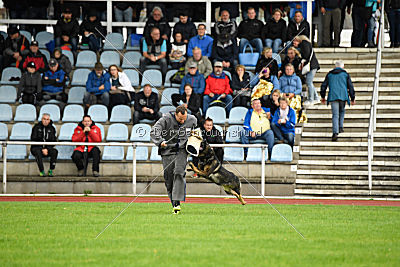 Cliff vom Neuzeller Brunnen