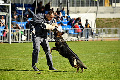 Cliff vom Neuzeller Brunnen