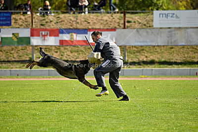 Cliff vom Neuzeller Brunnen